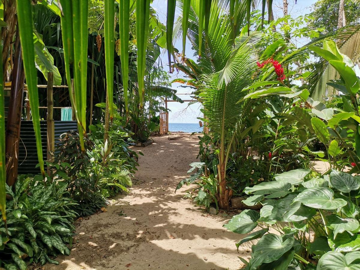 Oasis Beachfront Hostel Puerto Limon Exteriör bild