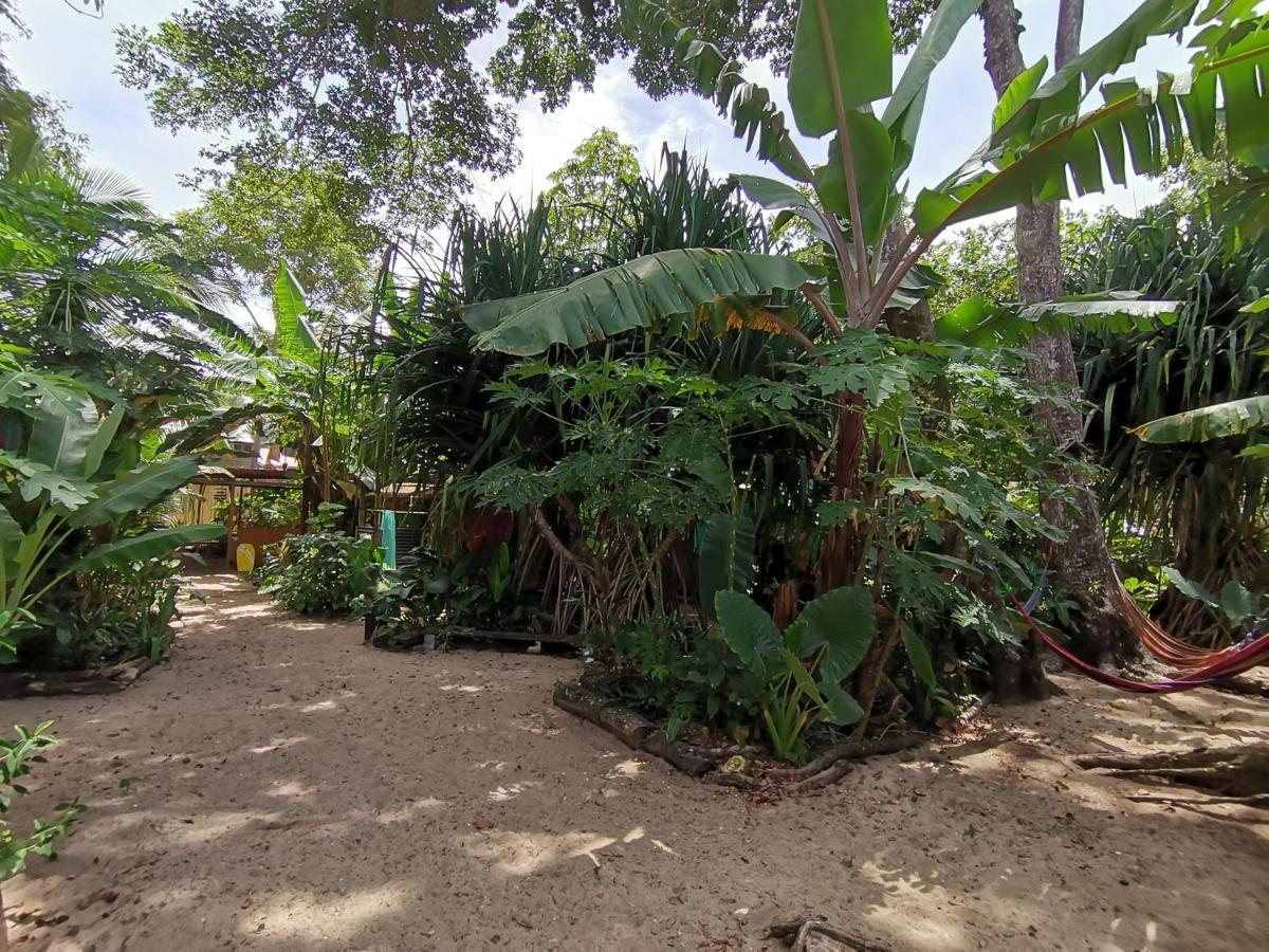Oasis Beachfront Hostel Puerto Limon Exteriör bild